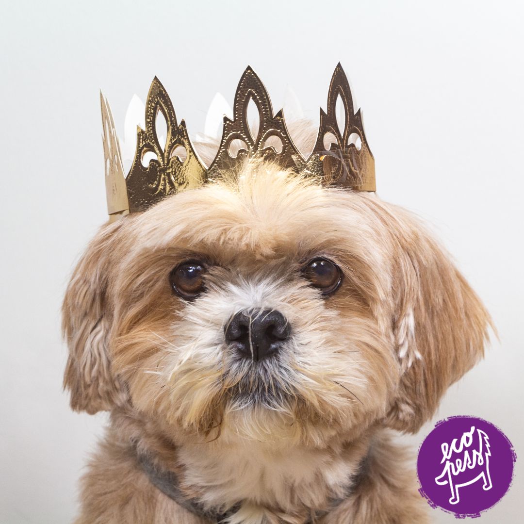 mytologické jména pro psa